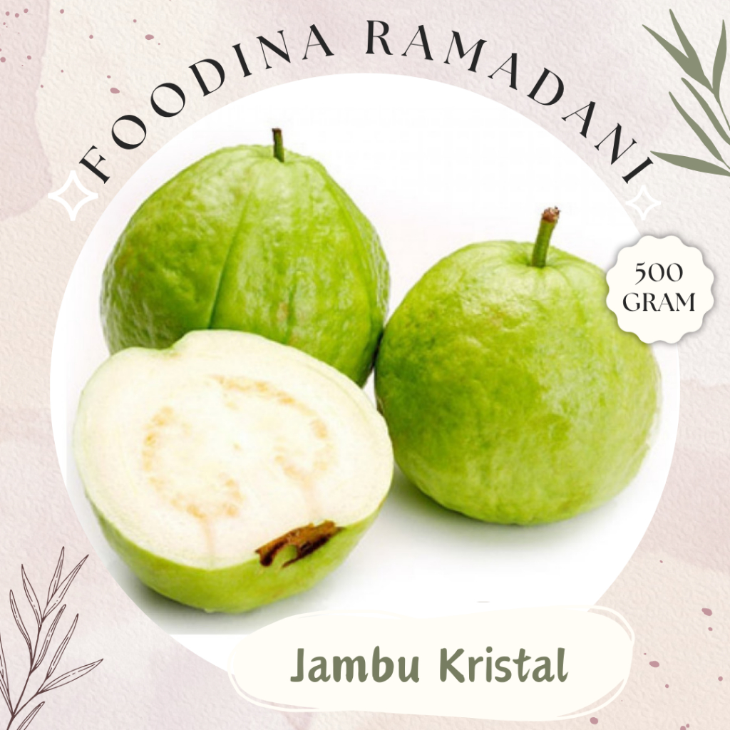 

JAMBU KRISTAL Tanpa Biji - Crystal Guava Fresh [ 500gr ] Harga Per 0,5 Kg