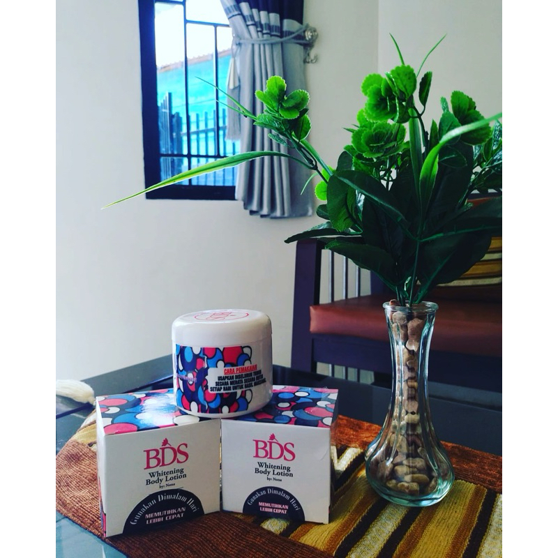 Bukan Dempul Sayang (BDS)