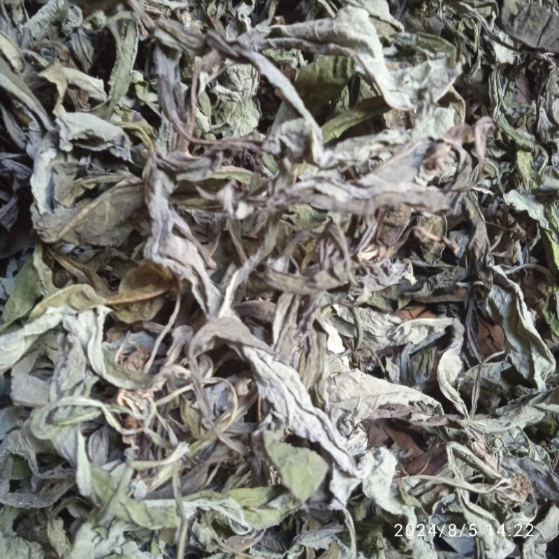 

dauntempuyung kering per100gr