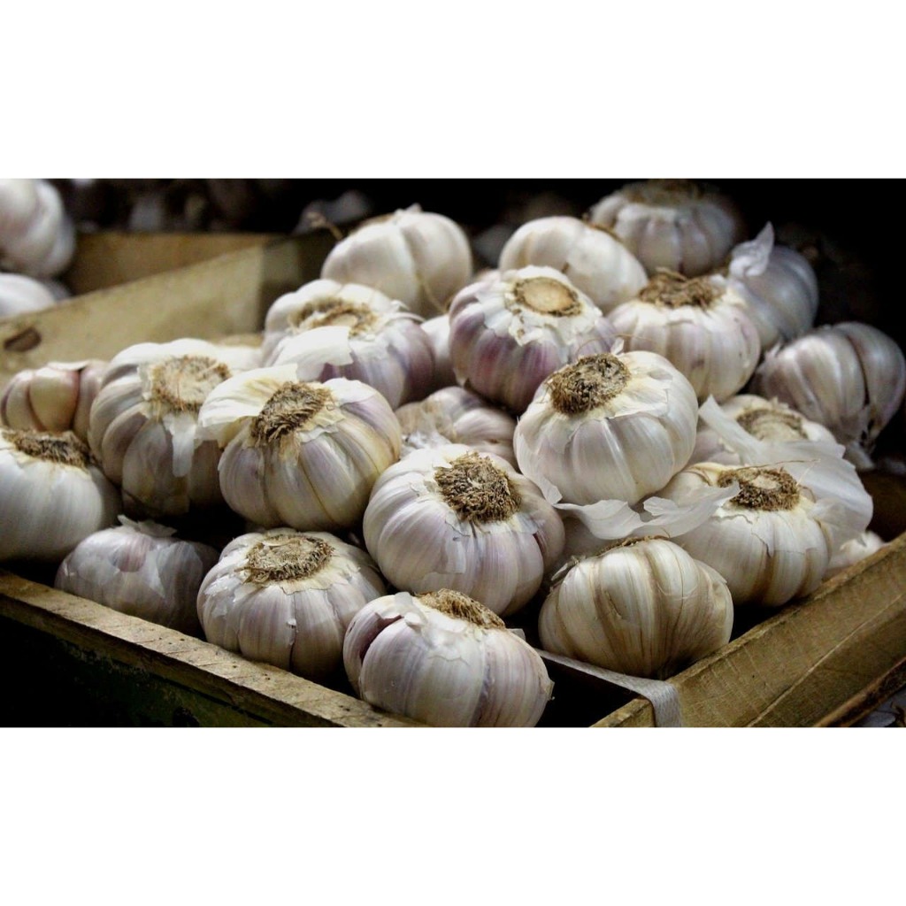 

BAWANG PUTIH HONAN BERAT 1KG