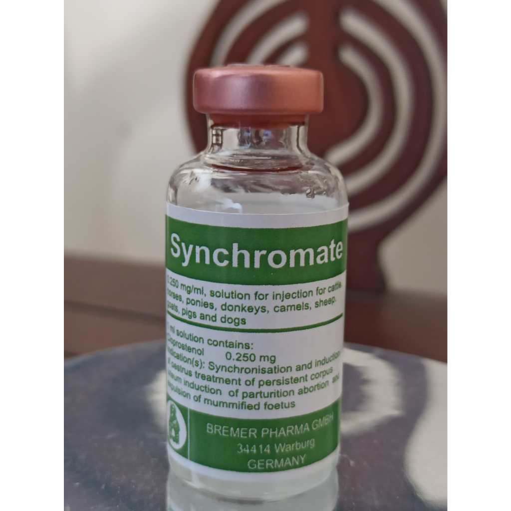 Synchromate untuk sinkronisasi birahi IB