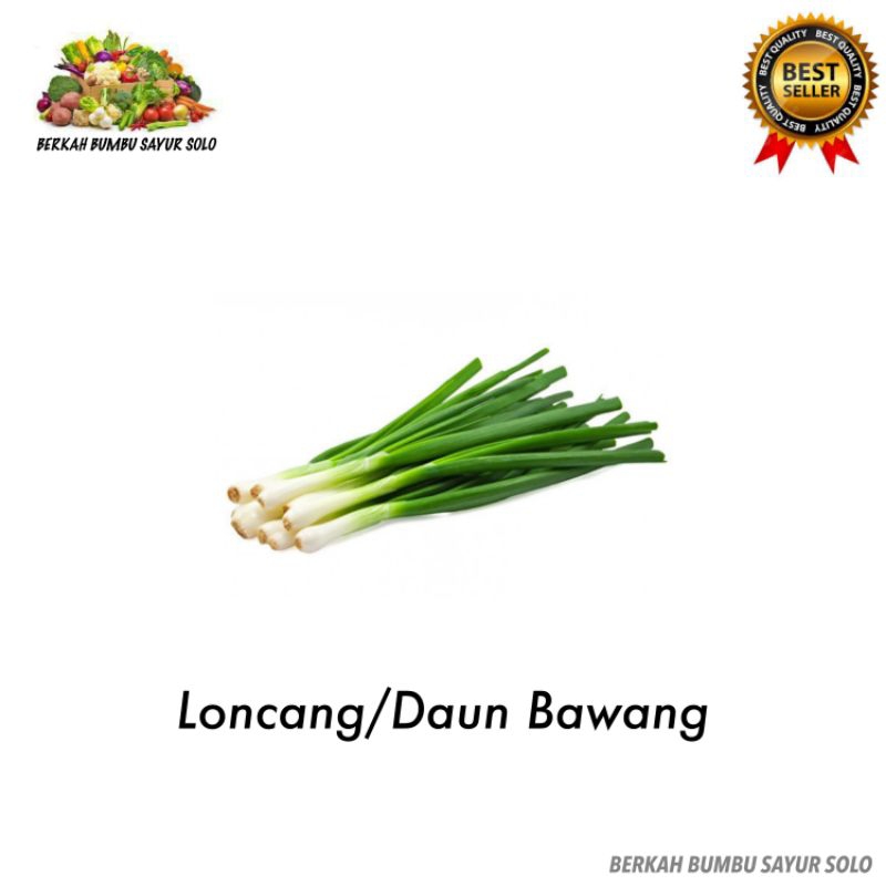 

Loncang Daun Bawang