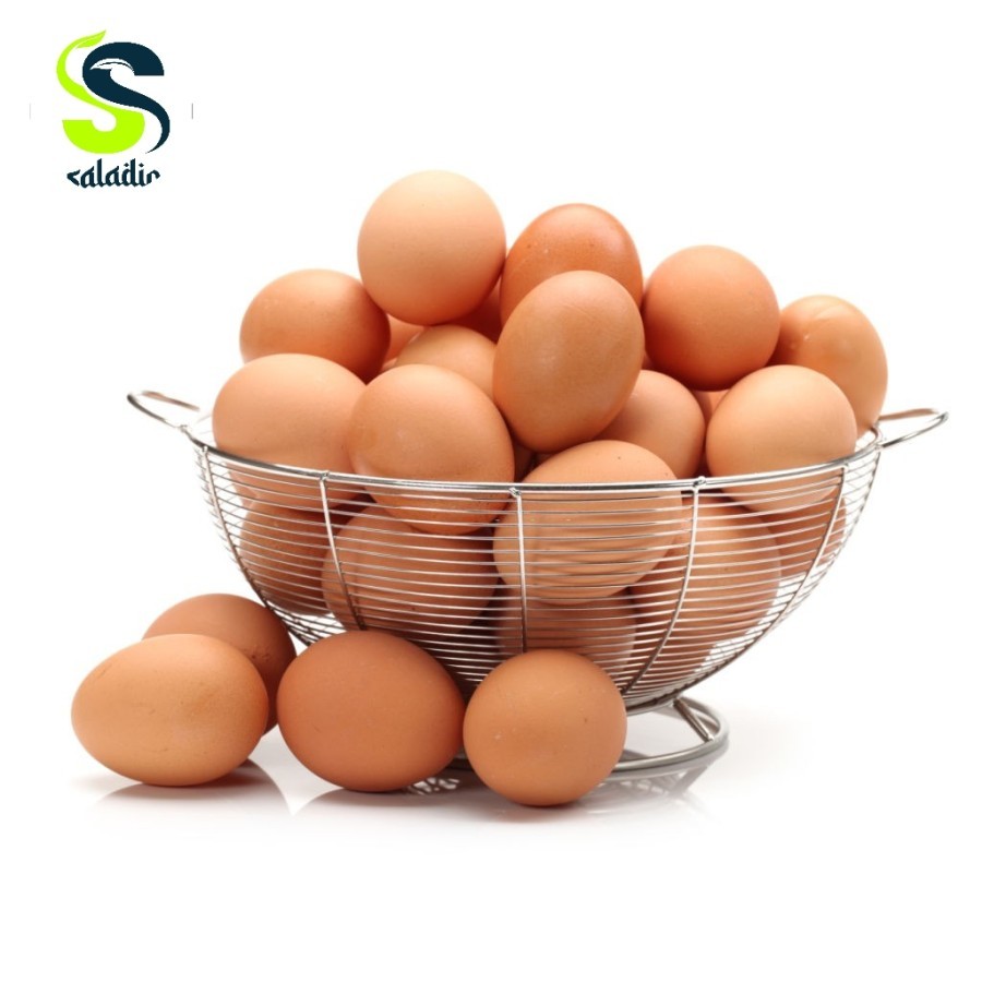 

Telur Ayam Fresh 1kg berkualitas