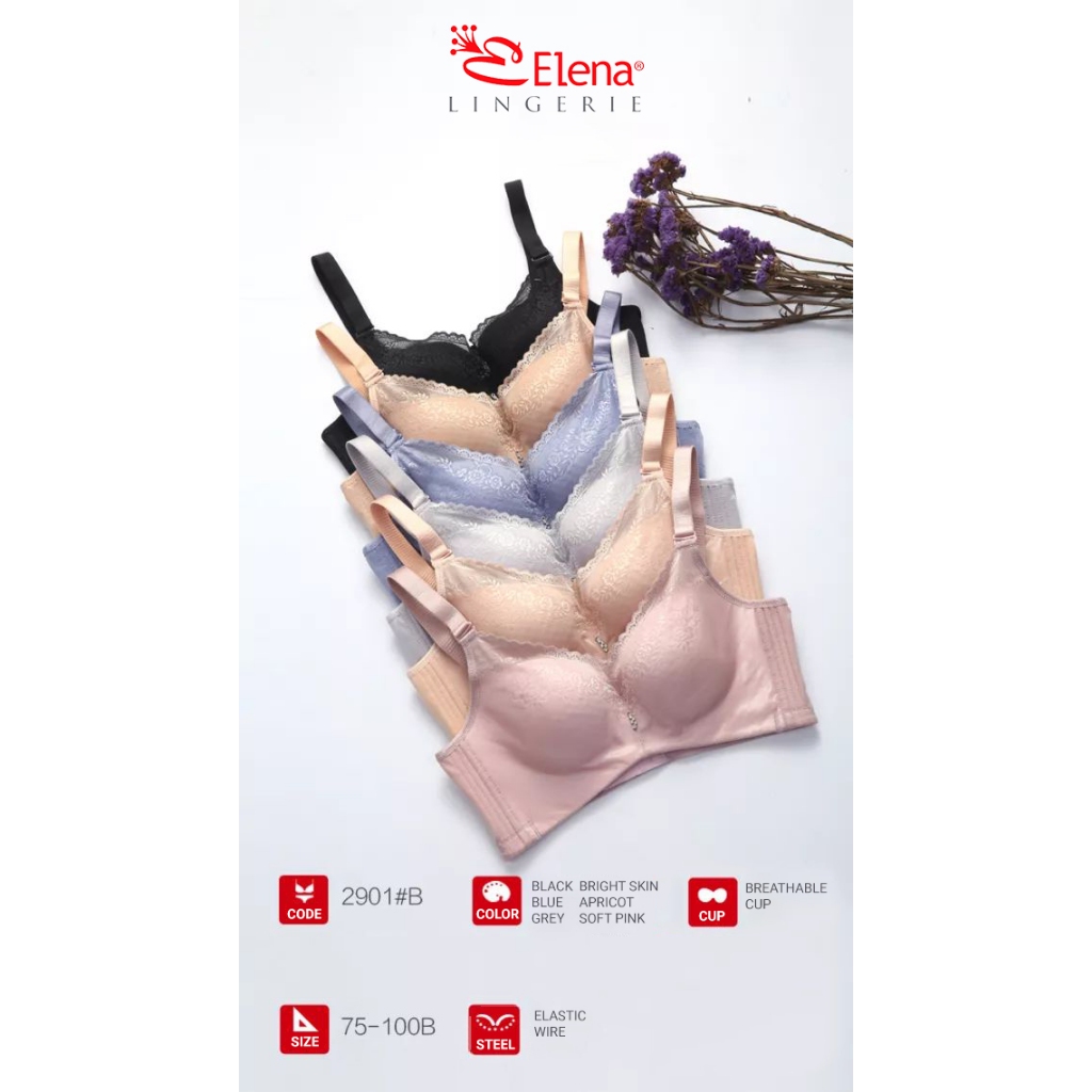 Elena E 2901 Tanpa Kawat Busa Tipis Full Cup B Kait 4 Bh Wanita 34B - 44B