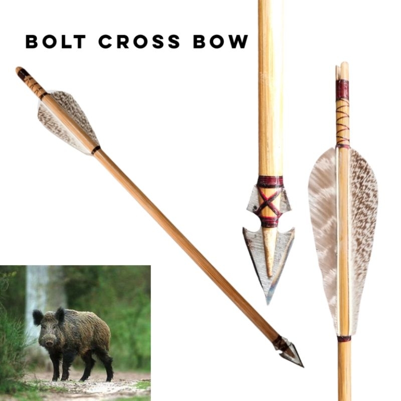 Bolt cross bow