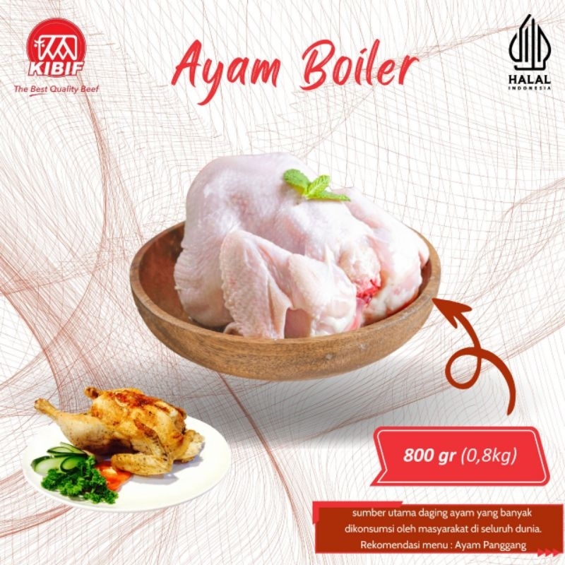 

Ayam Boiler 1,2 kg