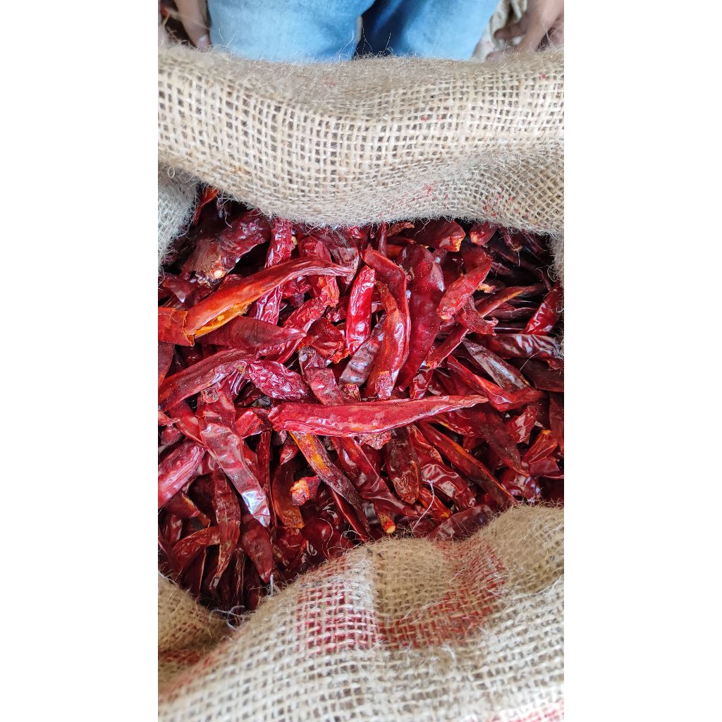 

cabe gede kering wonder hot. cocok untuk chillie oil