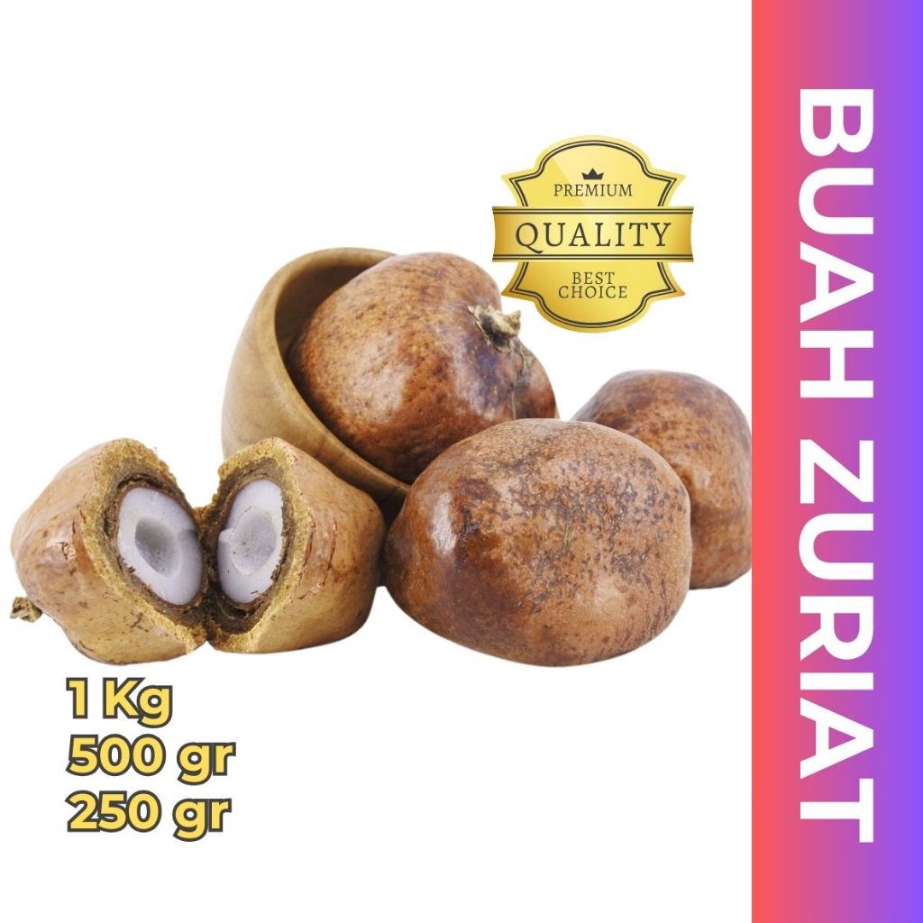 

Buah Zuriat Promil Mesir 100% ORIGINAL - Bandar Kurma