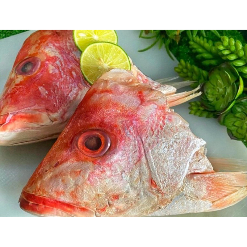 

kepala ikan kakap merah segar 500 gram/ pcs