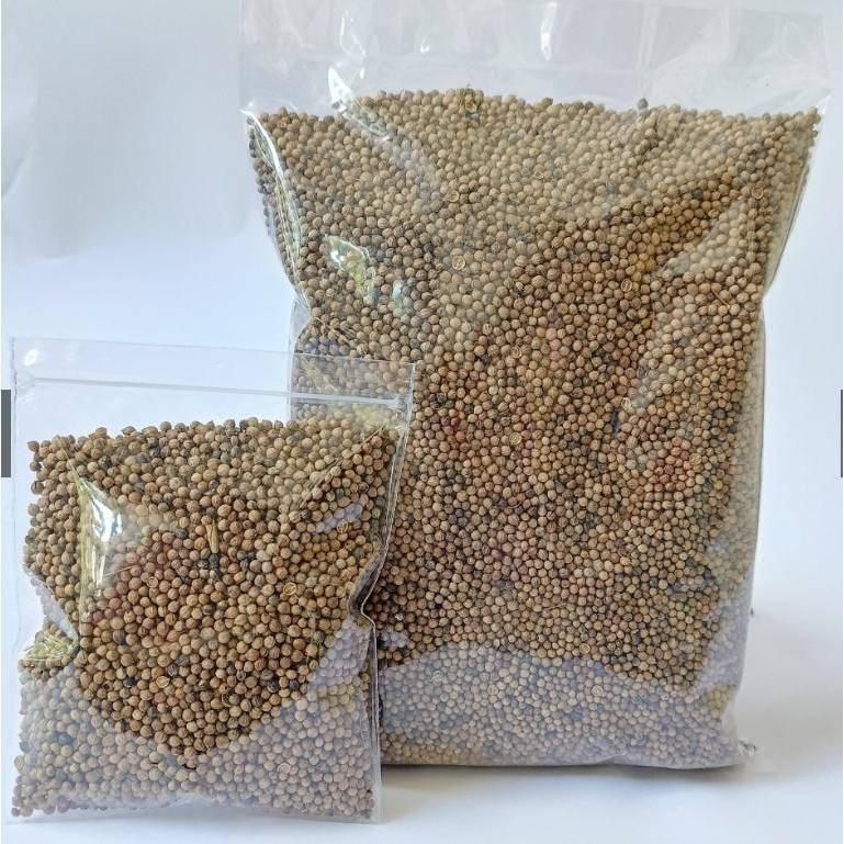 

Ketumbar Hitam Premium 500Gram - Rempah Herbal JSR Ketumbar Hitam 100% Organik Asli Obat Stroke Darah Tinggi, Kolestrol, Diabetes