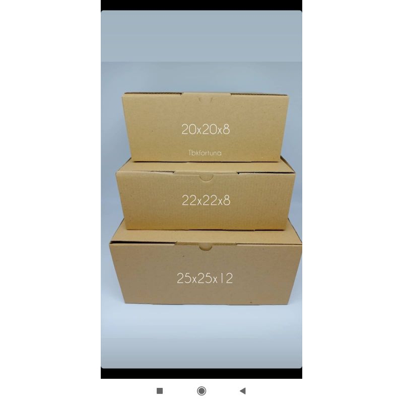 

Dus Karton Uk 25x25x12cm (1pcs)