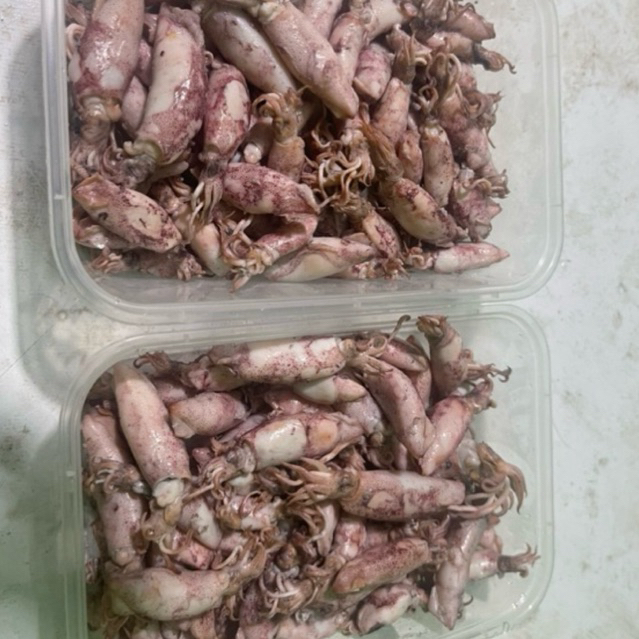 

JKL Cumi asin kering 250 gram halal