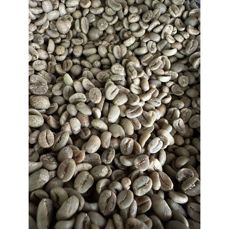 

luwak gayo coffee spesialty