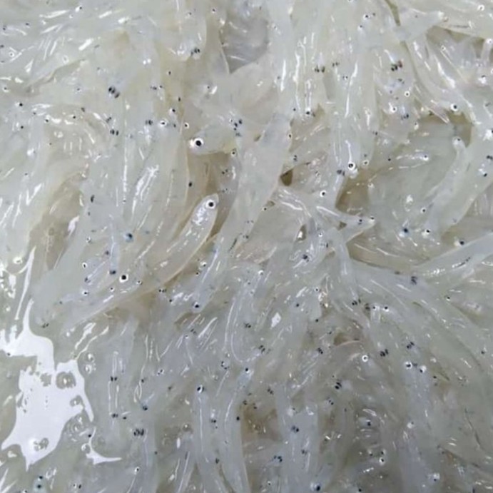 

Ikan Teri Nasi Basah Tidak Beku 200 gram