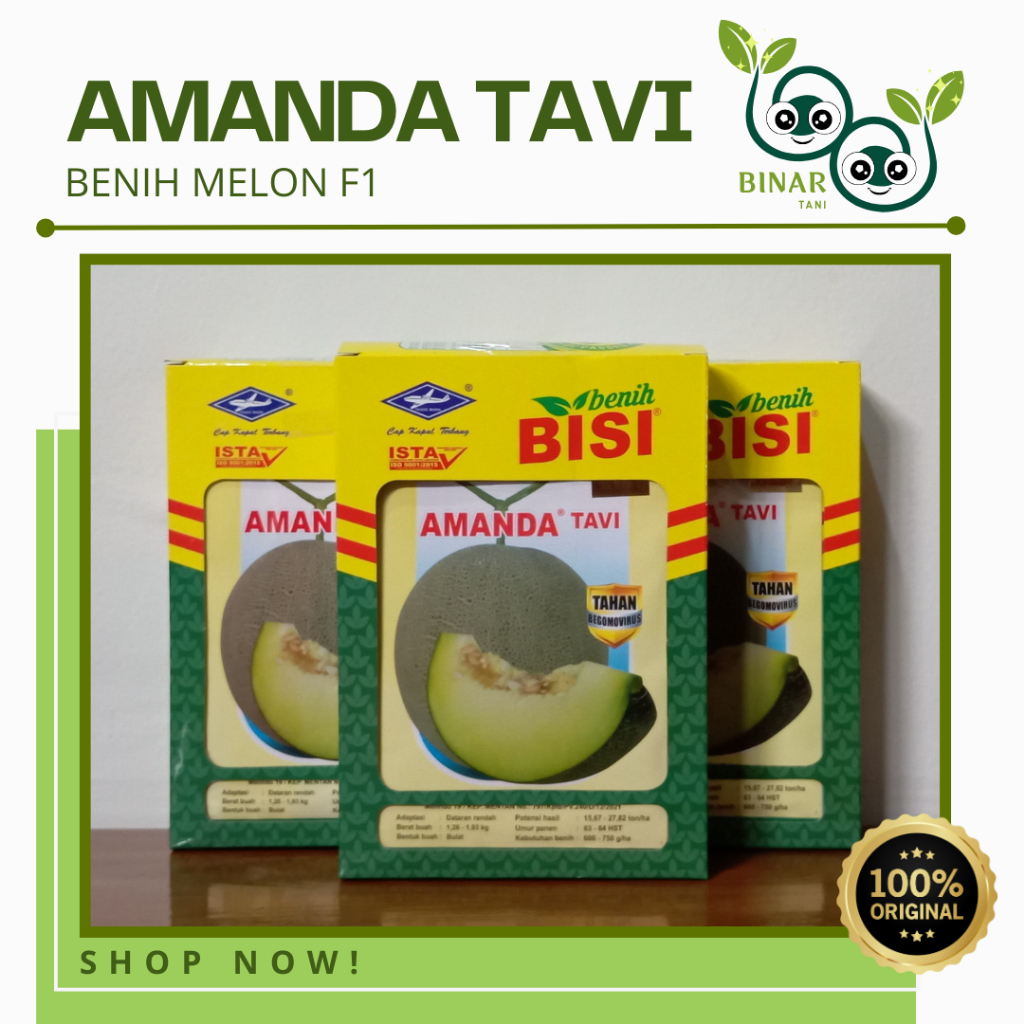 

MELON AMANDA TAVI Isi ±550 Biji - Benih Melon F1 Cap Kapal Terbang