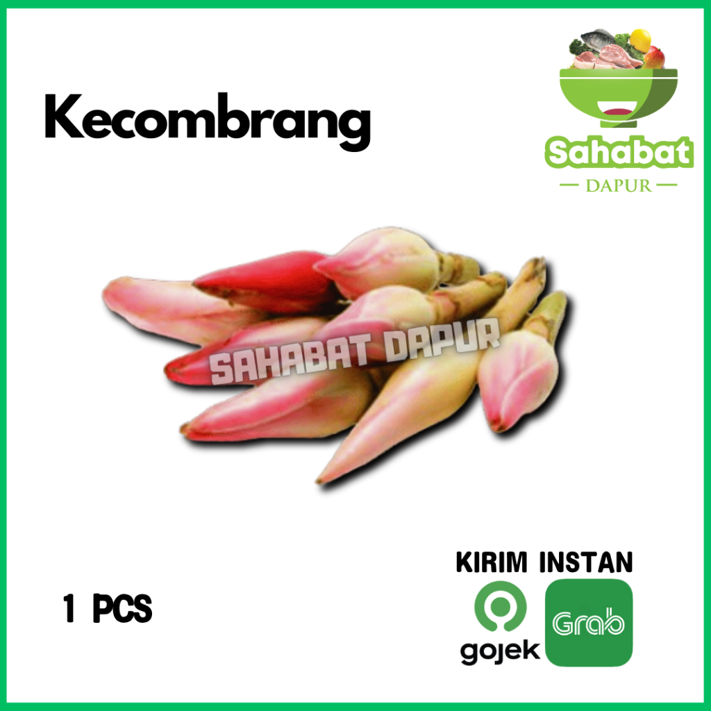 

Kecombrang Honje Segar 1pcs - Sahabatdapur