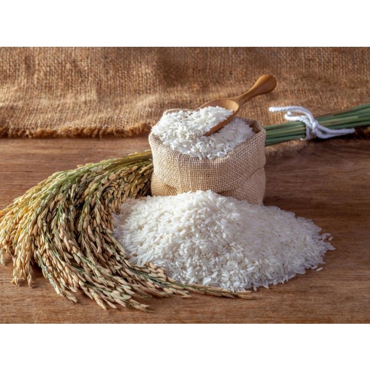 

beras berkualitas premium 15 KG