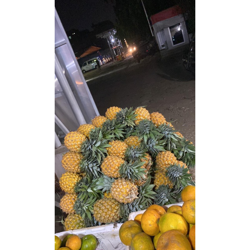 

Nanas Madu Pemalang Jumbo