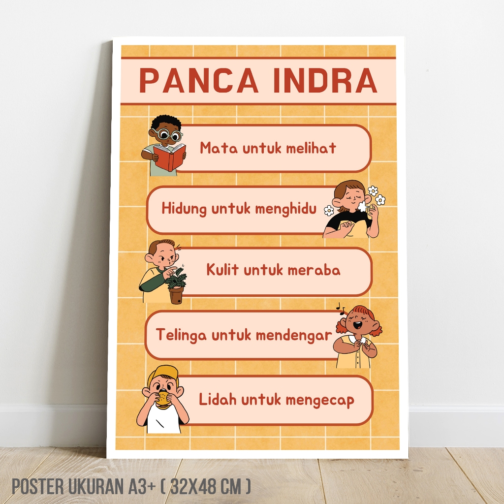 POSTER EDUKASI PANCA INDRA
