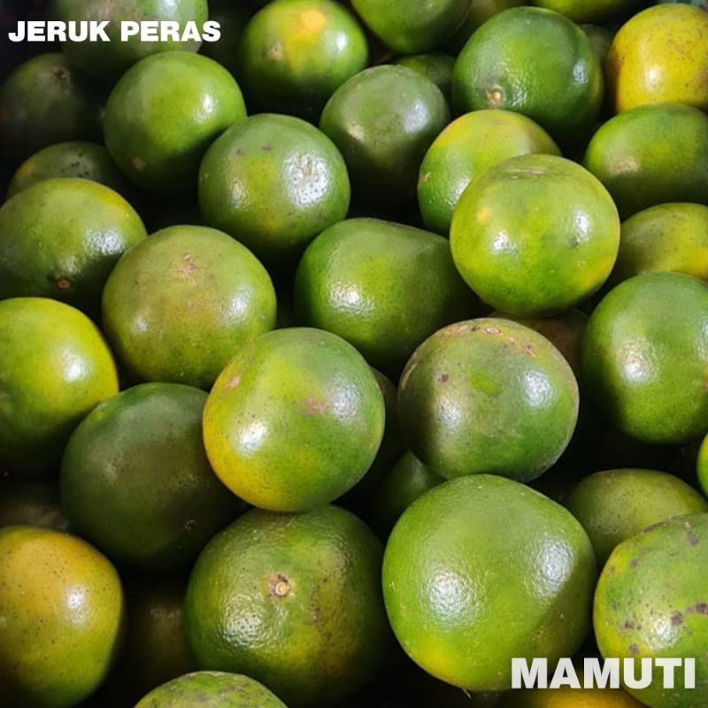 

Jeruk Peras Manis 500Gram FRESH / Untuk Diet / Kualitas Terbaik