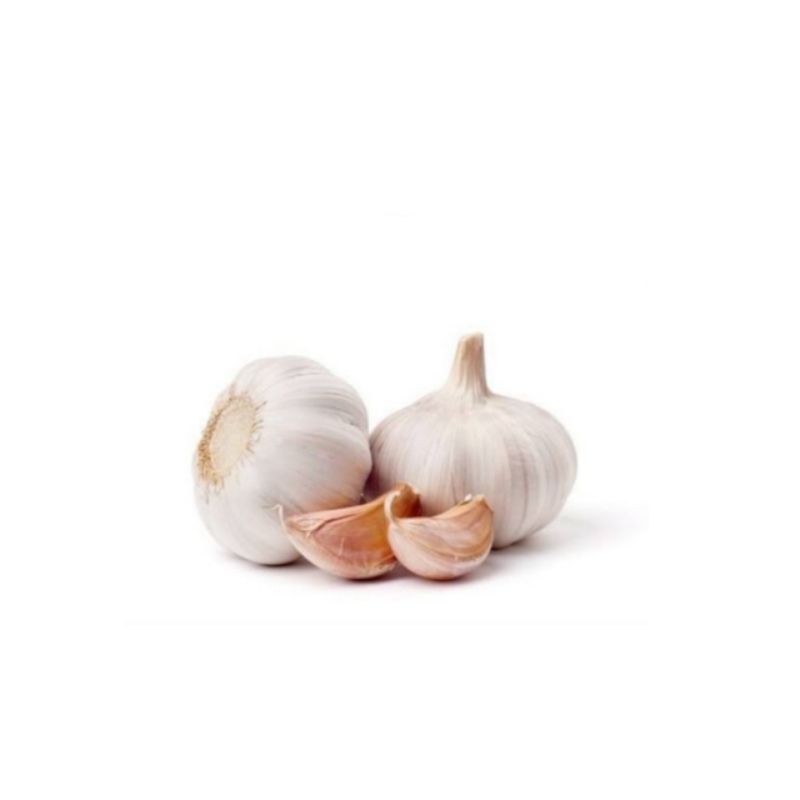 

bawang putih 100 gram bawang putih fresh