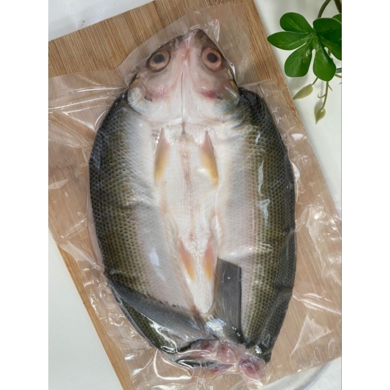 

IKAN BANDENG CABUT DURI - PURE ORGANIC