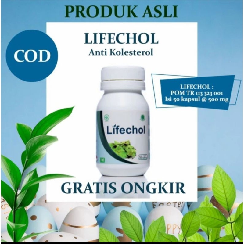 Obat herbal spesial mengobati kolesterol tinggi secara alami dari Dr.liza
