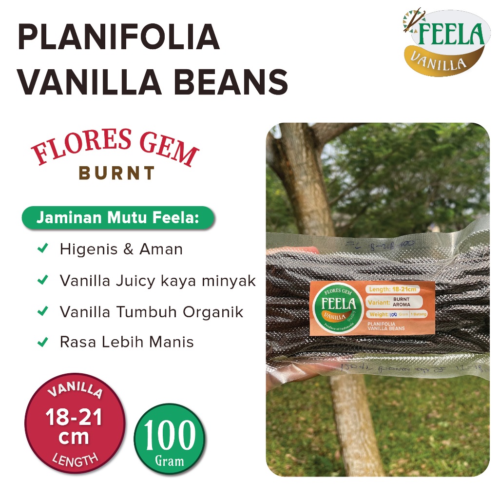 

Vanilla Beans Planifolia Gourmet Flores Gem Burnt Panjang:18-21cm