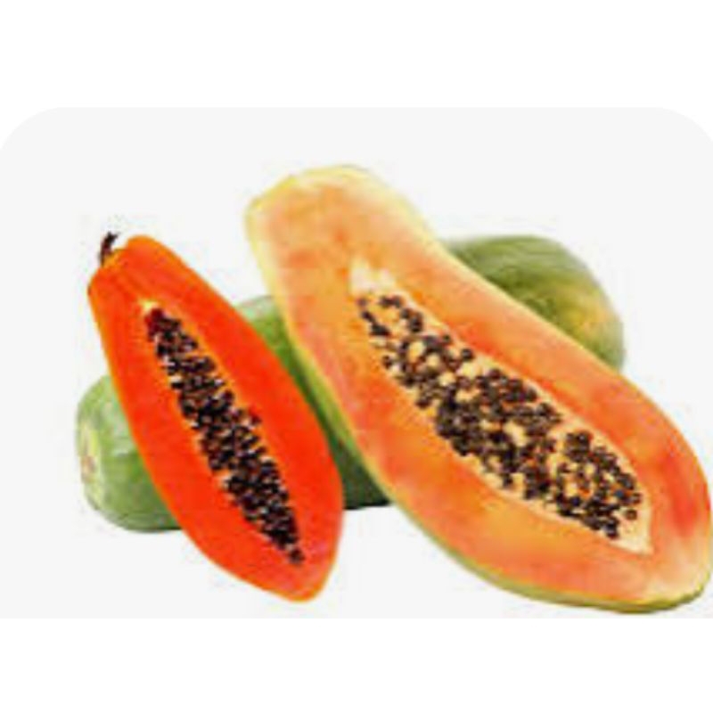 

PEPAYA /Pasar Makassar