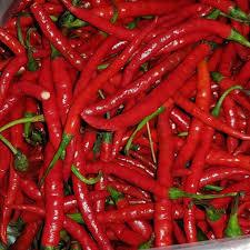 

Cabai Merah Keriting Segar | Pedas & Renyah untuk Sambal & Masakan | harga 100gr