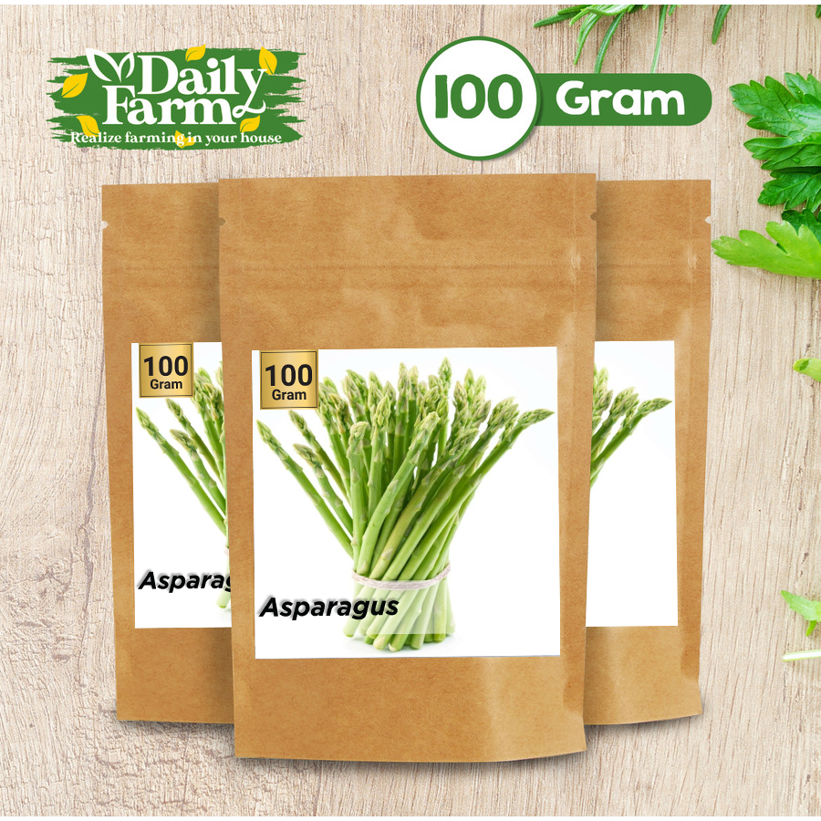 Benih Sayur Asparagus Marry Washington - Sayur Asparagus - Bulk Size