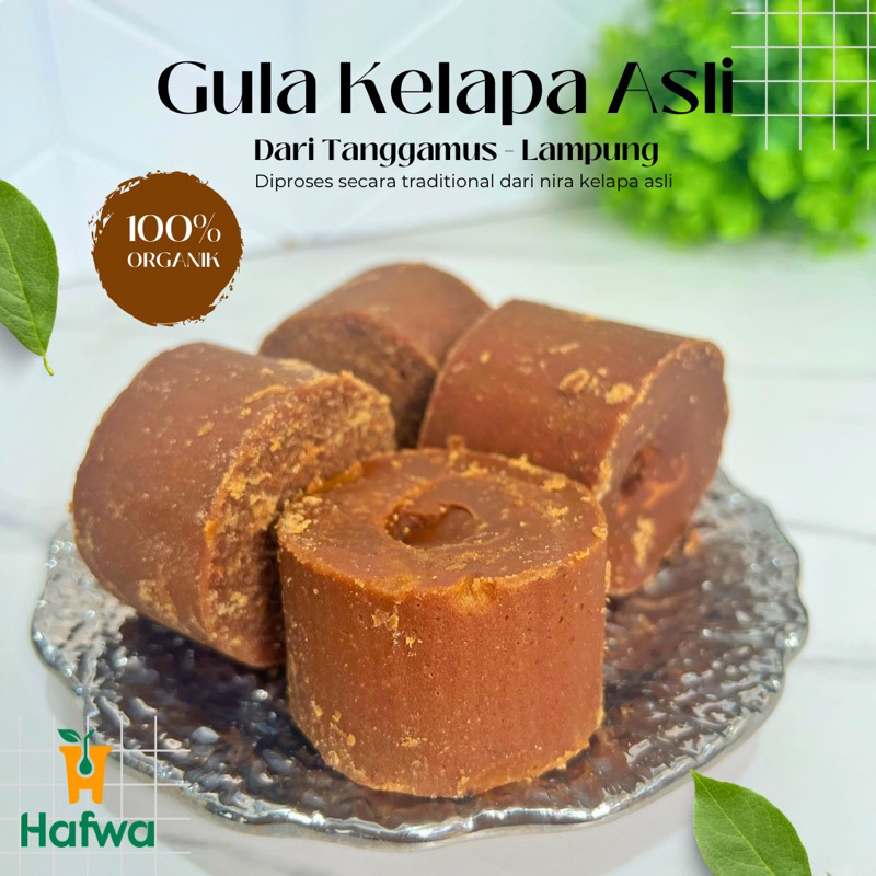 

GULA KELAPA 100% ASLI DAN ORGANIC LAMPUNG