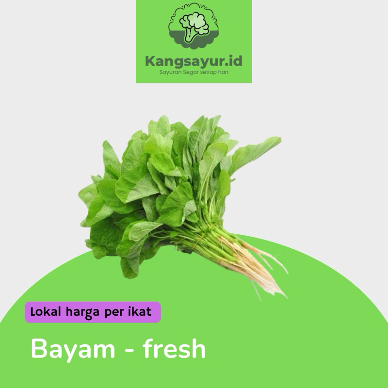 

Sayur bayam 1 ikat fresh