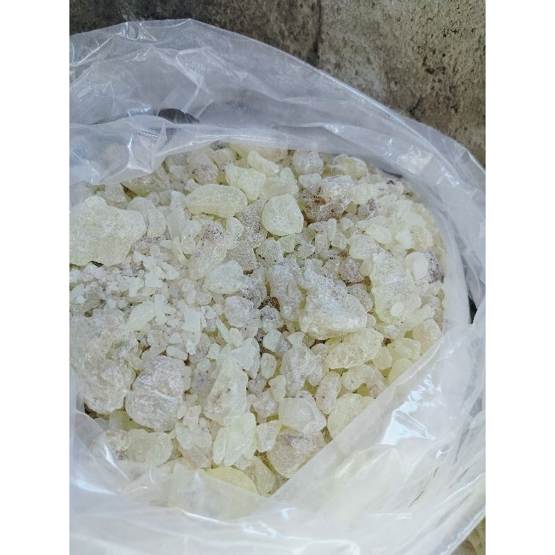 Pola Mewah Damar Mata Kucing/ Damar Resin/ Getah Damar Mata Kucing