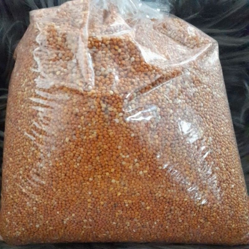 jewawut 1kg pakan burung.