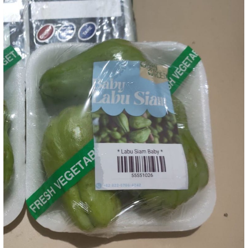 

Baby Labu Siam | Green Garden | tanya stock terlebih dahulu | hammysnotes