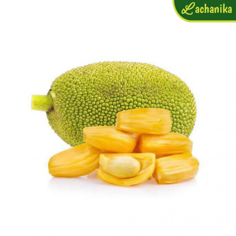 

Buah Nangka Kupas / Peeled Jackfruit