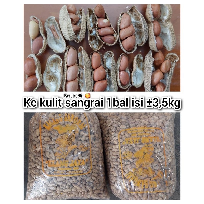 

KACANG KULIT 3,5KG/ENAK NAGIH