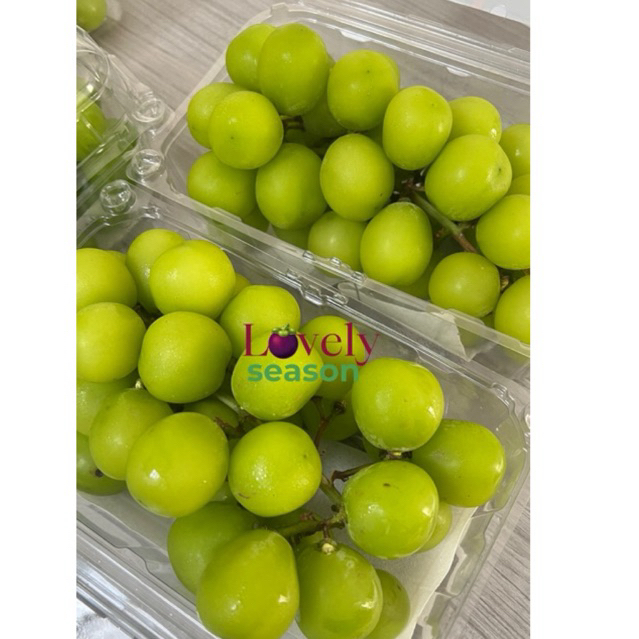 

Anggur hijau shine muscat 500gr fresh grade A