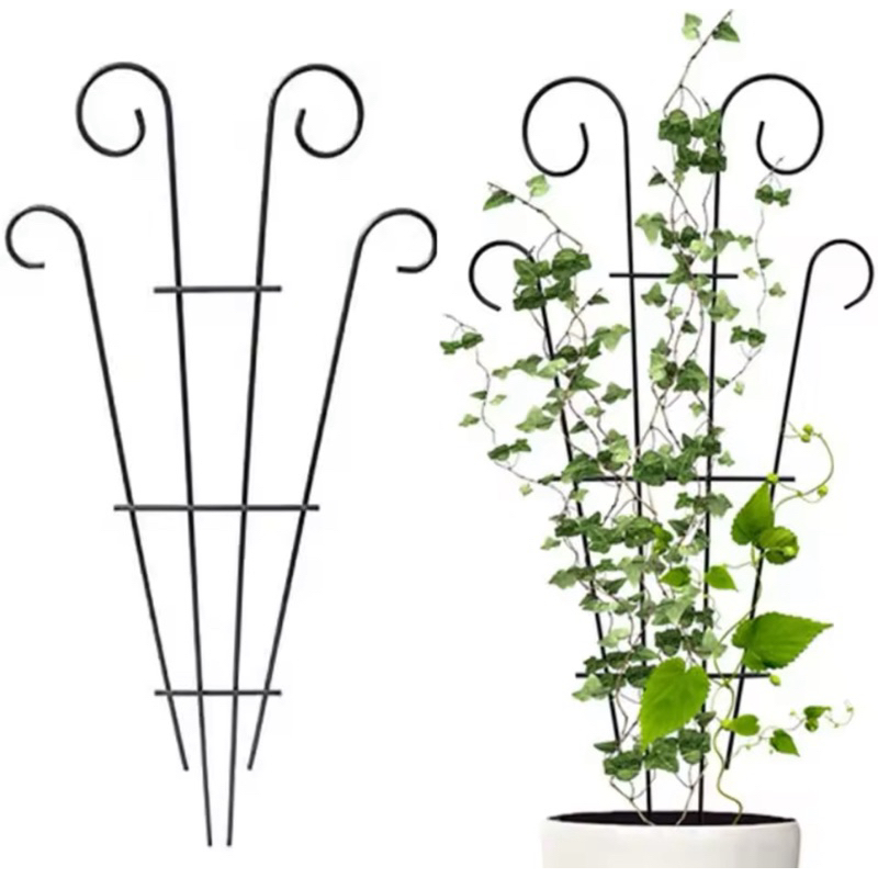 Teralis Hitam Penyangga Tanaman Rambat Kebun Taman - Fan Trellis Metal Plant Support Stake Stand