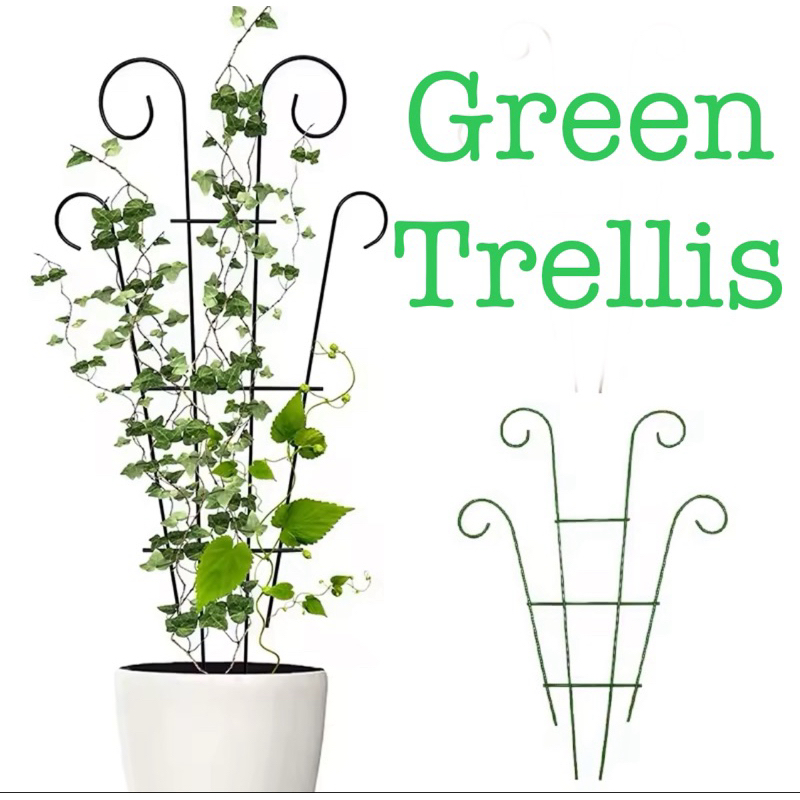 Teralis Hijau Penyangga Tanaman Rambat Kebun Taman - Fan Trellis Metal Plant Support Stake Stand Pla