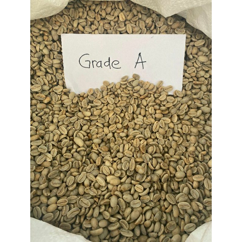 

Greenbean Kopi Arabika Papua Wamena Fullwash G1