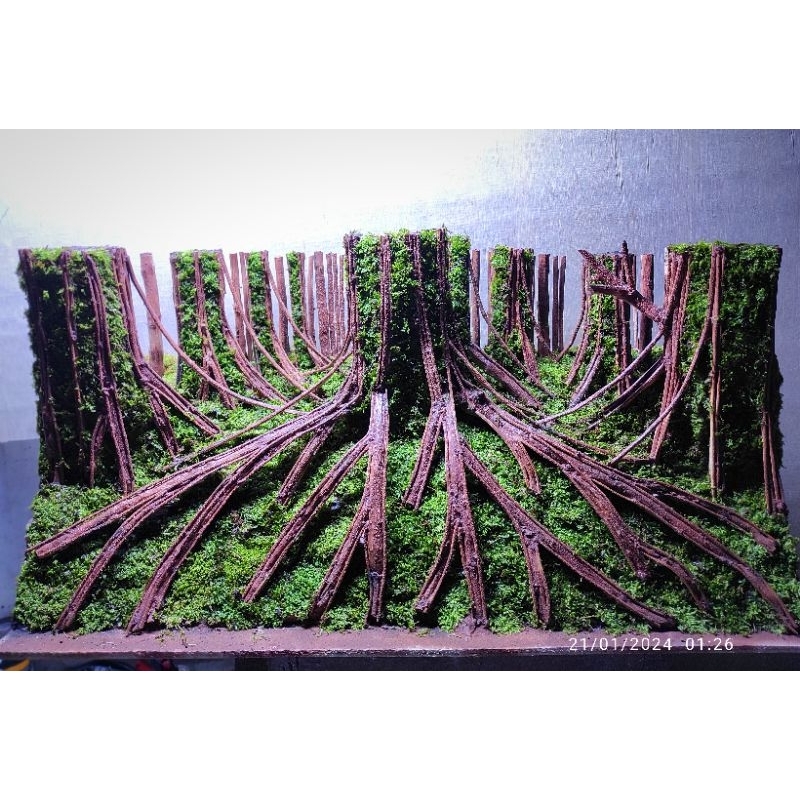 Hardscape jungle aquascape buat aquarium ukuran 80.40.40.cm sudah siap pakai