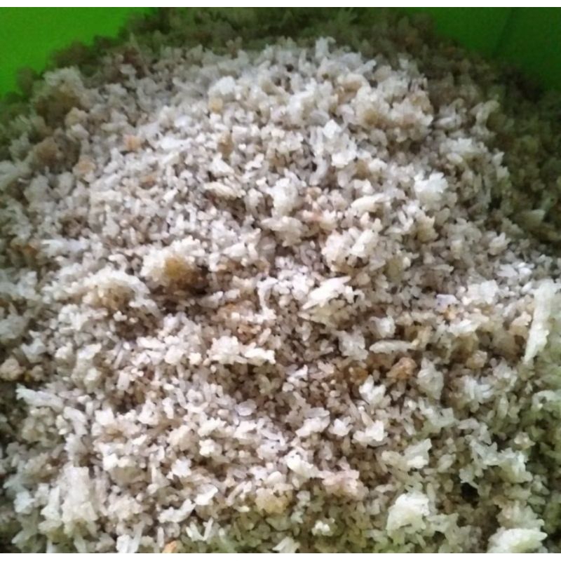 

NASI KARAK NASI AKING UNTUK PAKAN TERNAK 1 KG