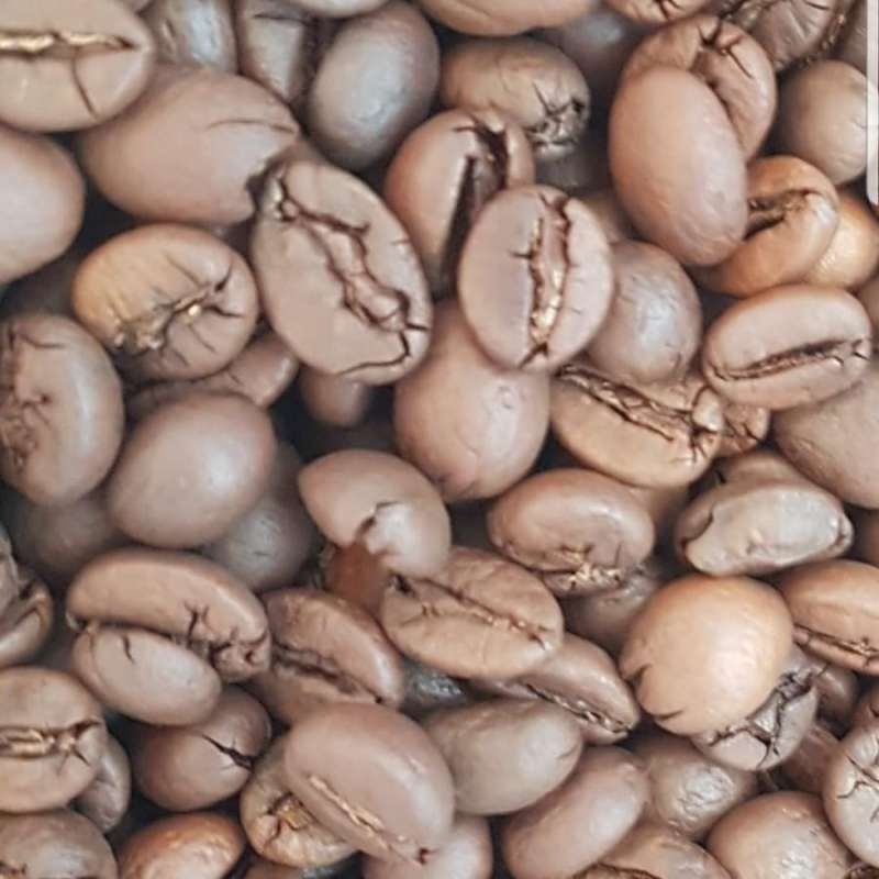 

Biji Kopi Catimor(teman kopi)