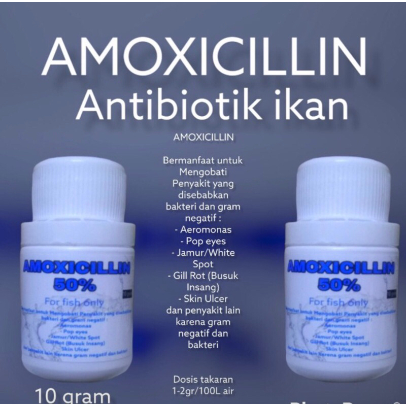 AMOXICILLIN ANTIBIOTIK IKAN 50% OBAT IKAN KARANTINA VITAMIN 10 gr