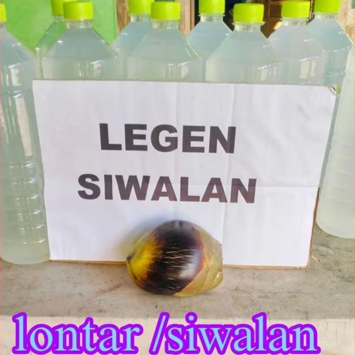 

Air legen lontar /siwalan semarang