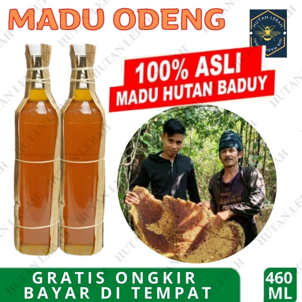 

madu odeng madu hutan kalimantan