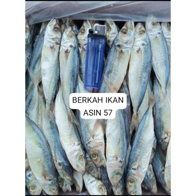 

OBRAL MURAH!!!1kg IKAN ASIN GEREH PEDO/PEDA BESAR FRES PREMIUM