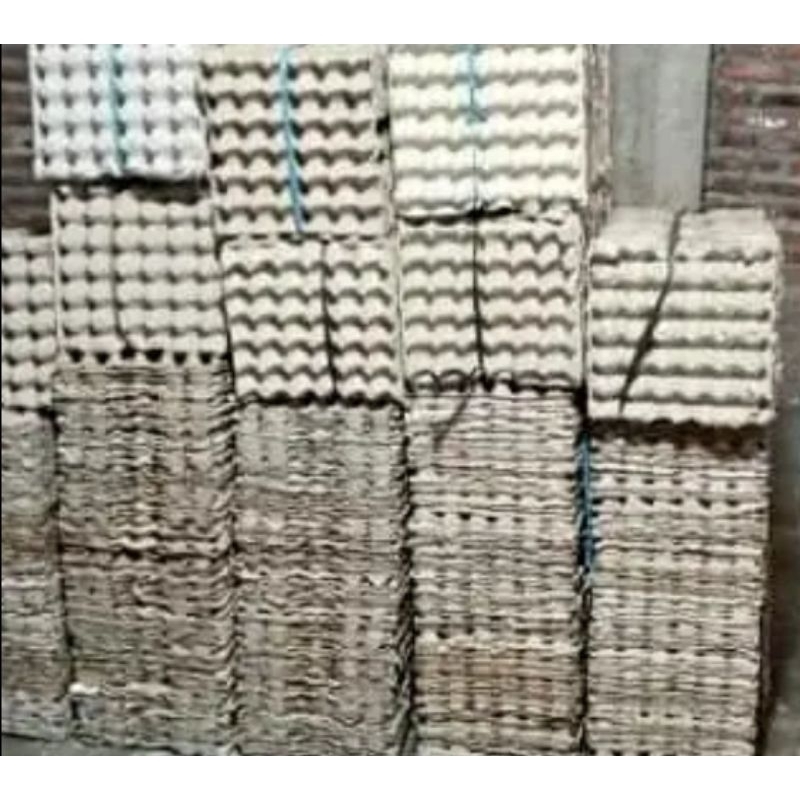 Tray Telur / Egg tray / tempat telur bekas layak pakai isi 10 pcs
